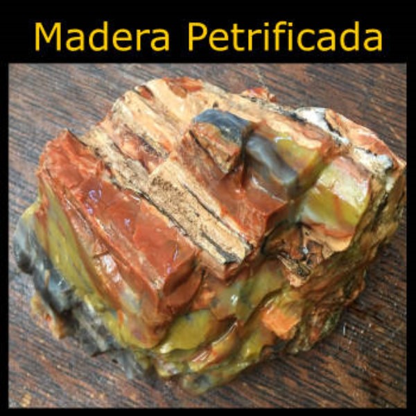 Beneficios-de-la-madera-petrificada